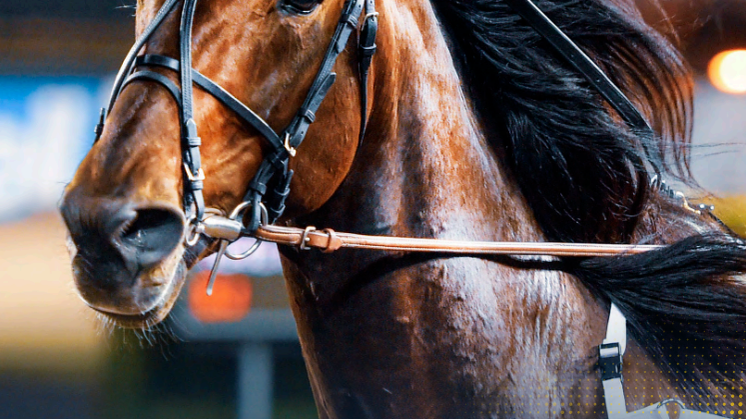 Solvalla Mediaguide 2024.pdf