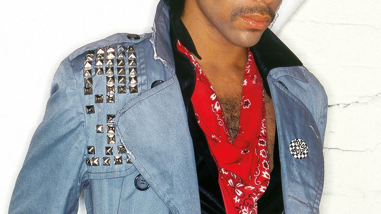 Prince (c) Virginia Turbett