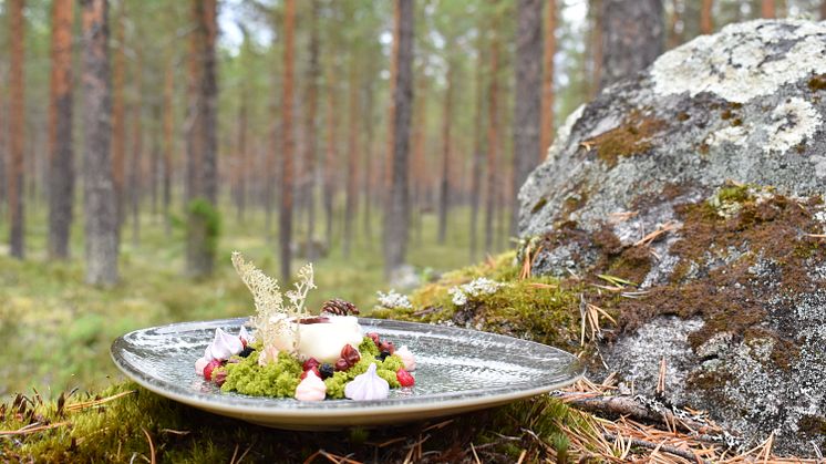Kulinariska mentorer ska spetsa måltidsföretag längs Vindelälven