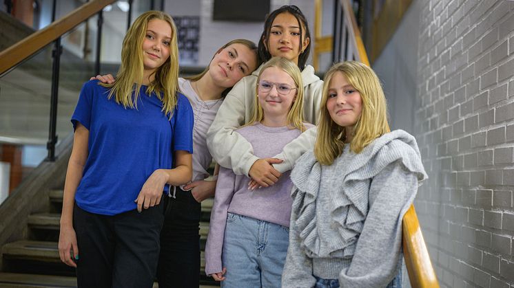 Friendzone Erla Södra