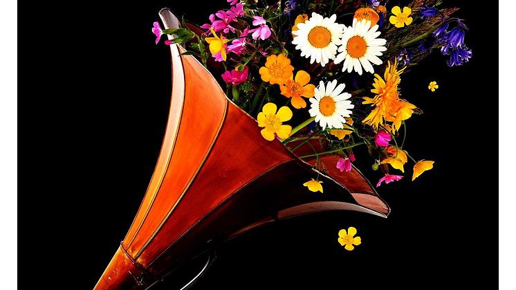 BlomsterFråEiGrav.jpg