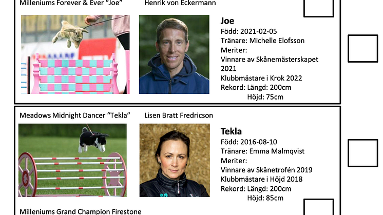 Kaninhoppningen Falsterbo Horseshow 2022