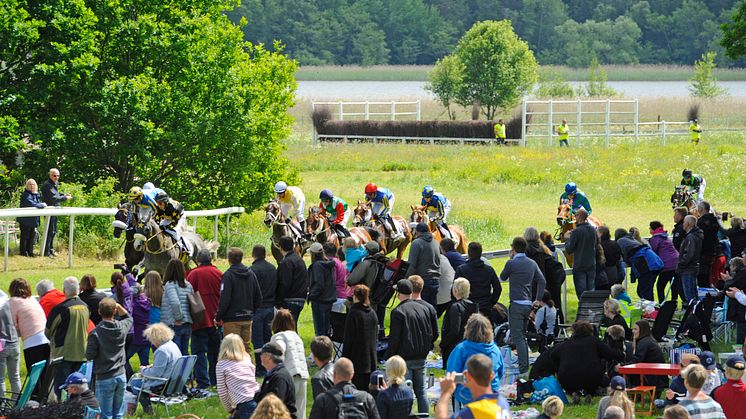 Kapplöpningarna på Strömsholm är ett av Svensk Galopps mest populära evenemang och lockar alltid en stor publik. 2022 blir tävlingarna särskilt speciella då H.M. Konungen besöker Strömsholm.