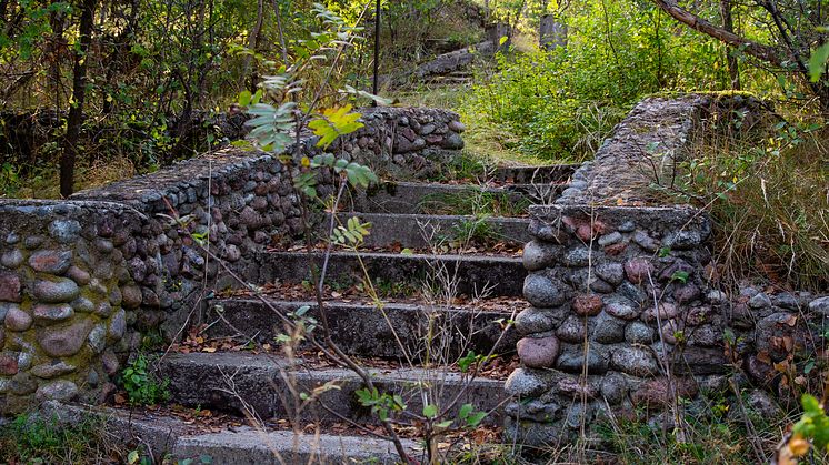 Trappan_i_skogen_foto_Elisabeth_Boogh