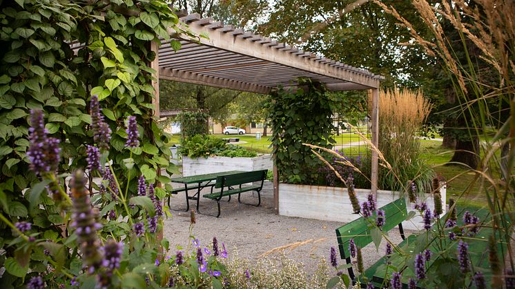 Köksträdgården i Jordbro vinner Haninge arkitekturpris 2023