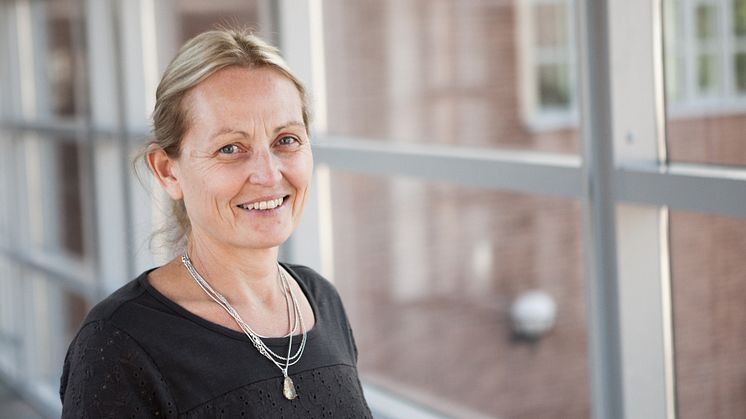 Anette Bolin, nybliven professor i socialt arbete.