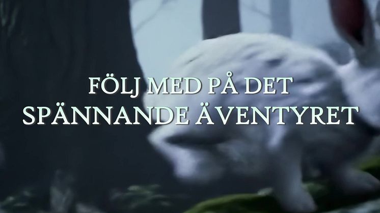 Snovit_v_3.1_1x1.mp4