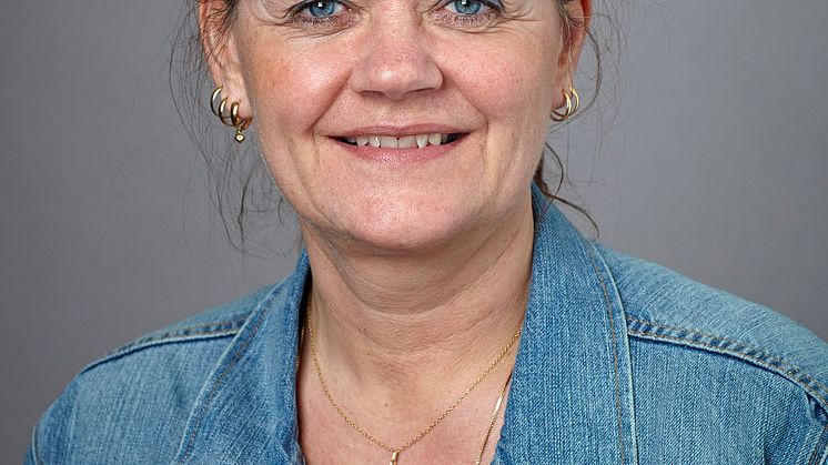 Lena Langlet, demokratienheten SKR