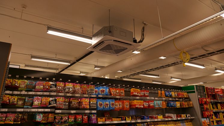 P1063156.JPG