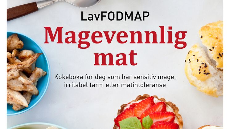LavFODMAP Magevennlig mat