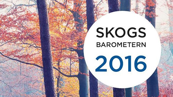 Stor investeringsvilja hos både skogsägare och skogsindustri