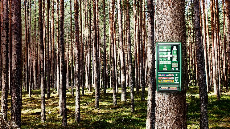 Cederroth First Aid skog