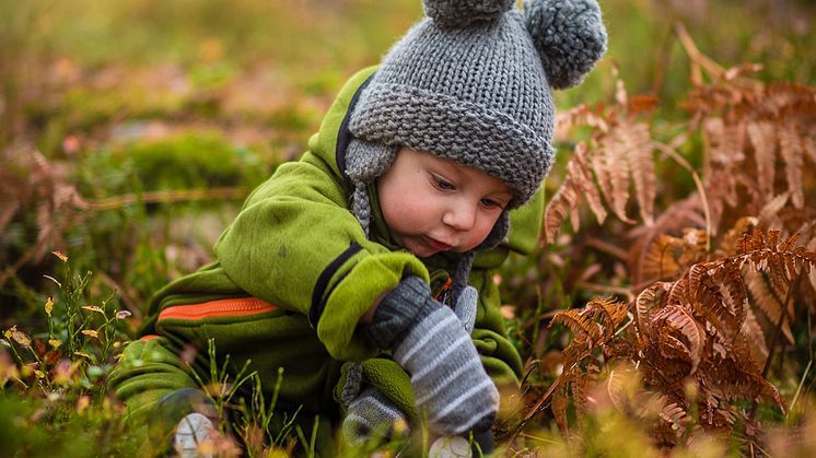 Vad kan man som privatperson göra för att minska sin klimatpåverkan? Kävlinge kommun har skapat en sida med hållbarhetstips.