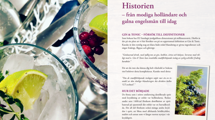Uppslag ur Gin & Tonic Helt enkelt.pdf