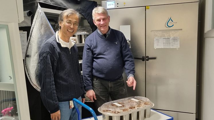 Shaojun Xiong och ﻿ Lars Atterhem, grundare av affärsidén 'Hållbar Svampoddling'.