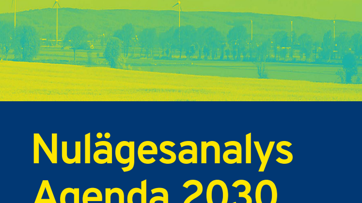 Agenda2030_nulägesanalys.pdf