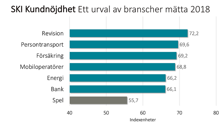 SKI ett urval branscher 2018