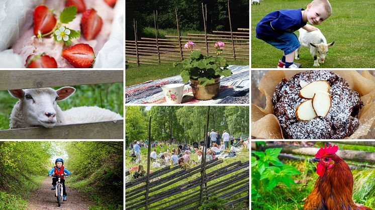 ​Sökandet efter ny fäbodentreprenör igång