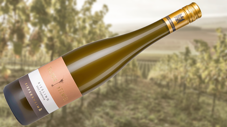  Riesling Aus Erste Lage från kvalitetsproducent i Rheinhessen 