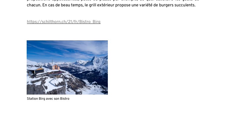 Bistro Birg