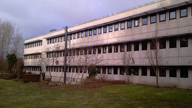 1_Før_ROCKWOOL
