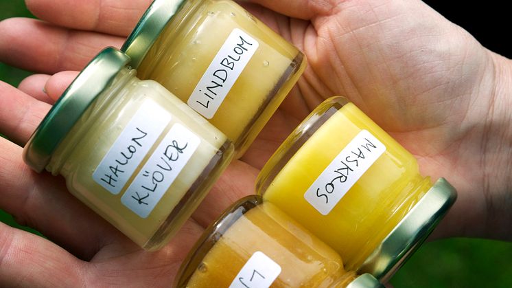 Dags för svensk "Beeroir"– mångfald av smaker imponerade på provning av svensk sorthonung