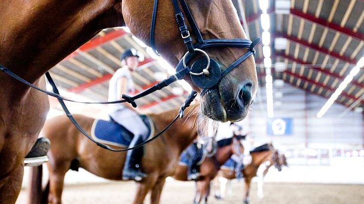 PT-träning ska göra Hästelever på Realgymnasiet i Helsingborg till bättre ryttare