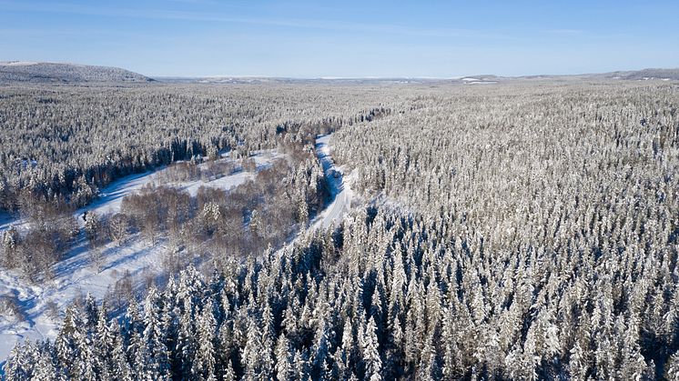Snötåget