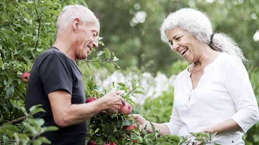 Skal du med på seniormøde?