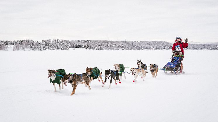 Framgång för kosttillskottet ”Aktiv hund” inom hundsporter - Octean storsatsar på produkten