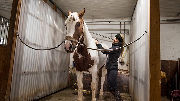 SparGyttorp11 700X500.jpg