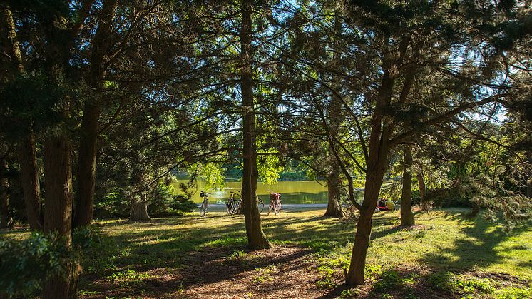Slottsparken - ett smultronställe i Malmö