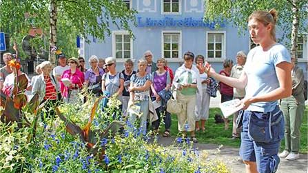 Årets blomsterplanteringar är en hyllning till det norrländska landskapet