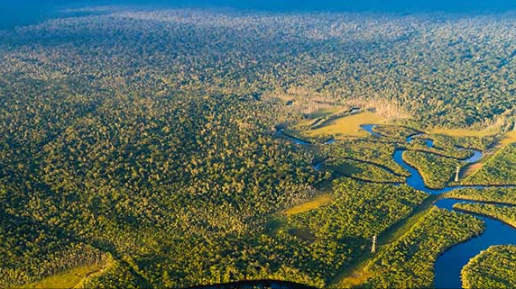 Nestlé aloittaa palmuöljyn toimitusketjunsa satelliittitarkkailun