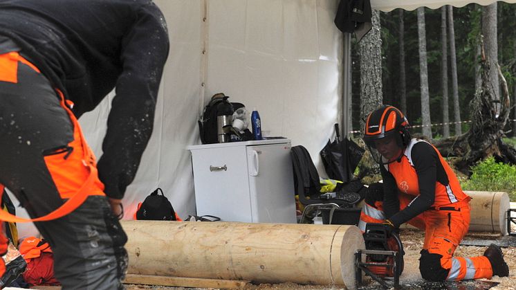 Team Sweden in Logging