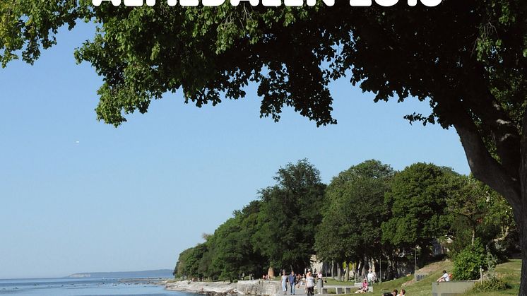 Nu bygger vi programmet inför Almedalen!
