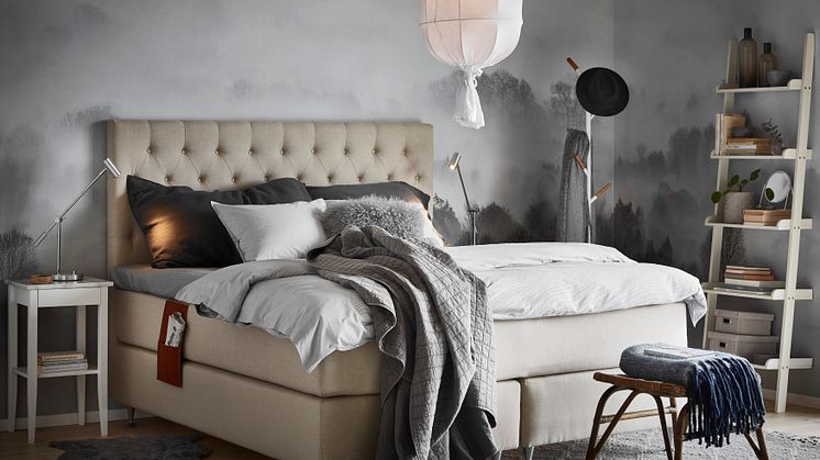 Dream