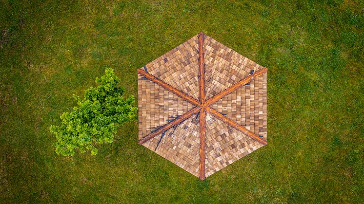 Nola_Hexagon_InPraiseofShadows_3
