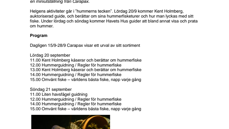 Inför hummerpremiären är det hummerhelg på Havets Hus