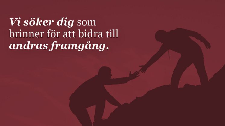 Är du en av Sveriges vassaste affärsrådgivare?
