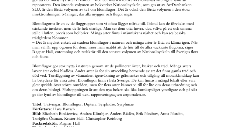 Sommarens fluga – en färgglad tvåvinge
