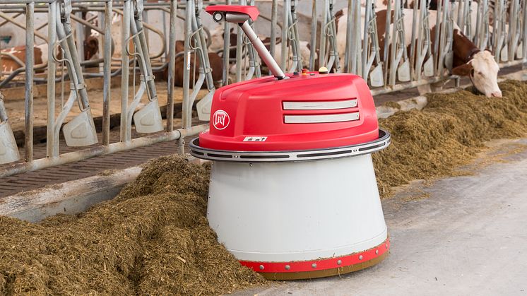 Nye Lely Juno