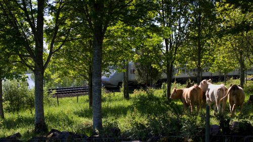 Planerat biljettsläpp för sommaren skjuts upp