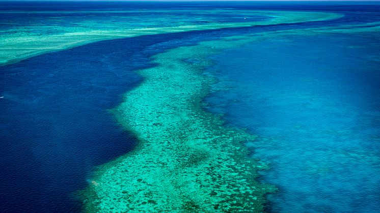 Great Barrier Reef - Stora barriärrevet