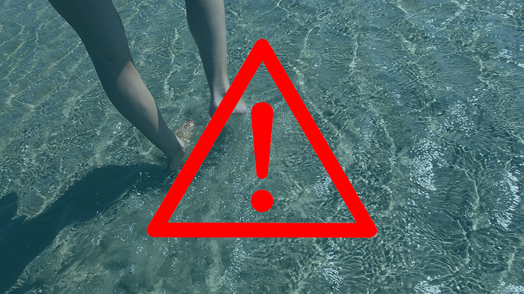 Dåligt badvatten vid Barsebäckstrand och Salviken