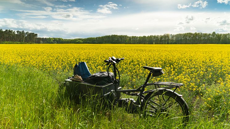 Der Pakesel unter den Fahrrädern: Mit dem E-Lastenrad zum mehrtägigen Radurlaub in Brandenburg. Foto: Cargobike Adventures.
