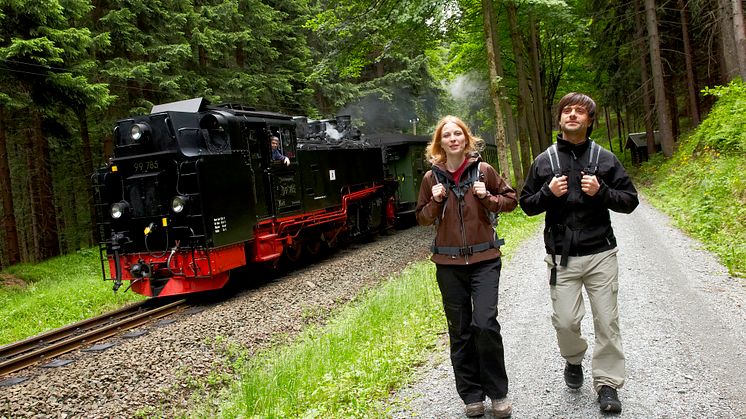 Unmittelbar am Kammweg- die dampfenden Rösser der Preßnitztal- & Fichtelbergbahn