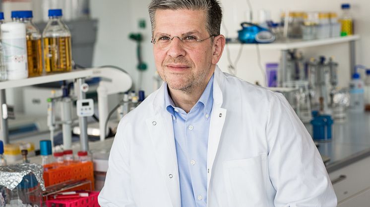 Aurorenfoto 1, Dirk Bockmühl 