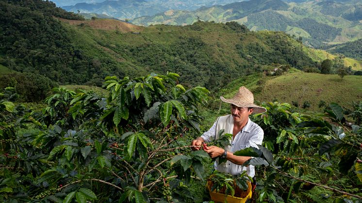 NYHET: Nespresso presenterar Reviving Origins - kaffenyheter som både smakar och gör gott
