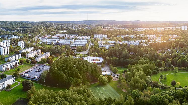 Nu startar vuxenvandring på Hässleholmen